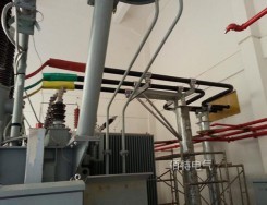 10kV1600A半絕緣銅管型91抖音成人短视频